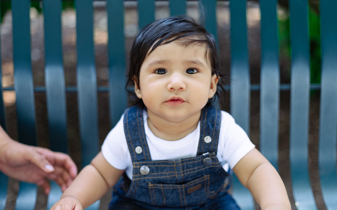 Parent Champions: a community-based solution to support parents/caregivers of children with developmental differences